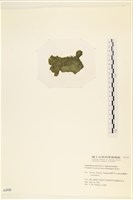 登錄號:A00002420藏品圖，第3張