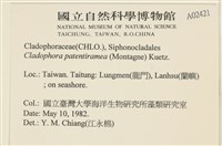 登錄號:A00002421藏品圖，第2張