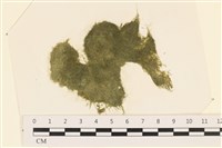 登錄號:A00002421藏品圖，第1張