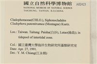 登錄號:A00002423藏品圖，第2張