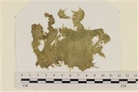 登錄號:A00002423藏品圖，第1張