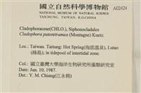 登錄號:A00002424藏品圖，第2張