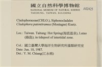 登錄號:A00002425藏品圖，第2張