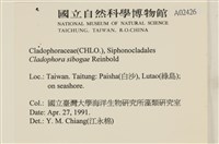 登錄號:A00002426藏品圖，第2張