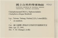 登錄號:A00002427藏品圖，第2張