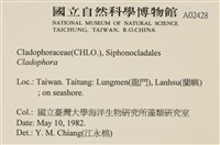 登錄號:A00002428藏品圖，第2張