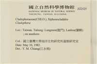 登錄號:A00002429藏品圖，第2張