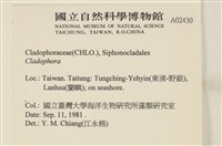 登錄號:A00002430藏品圖，第2張