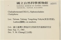 登錄號:A00002431藏品圖，第2張