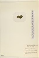 登錄號:A00002432藏品圖，第3張
