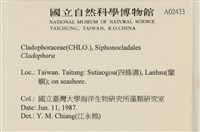 登錄號:A00002433藏品圖，第2張