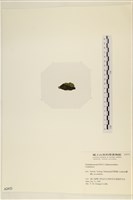 登錄號:A00002433藏品圖，第3張