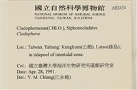 登錄號:A00002434藏品圖，第2張