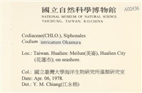 登錄號:A00002436藏品圖，第2張