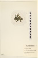 登錄號:A00002437藏品圖，第3張