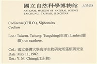 登錄號:A00002438藏品圖，第2張