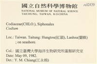 登錄號:A00002439藏品圖，第2張