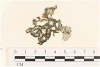 登錄號:A00002439藏品圖，第1張