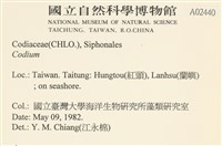 登錄號:A00002440藏品圖，第2張