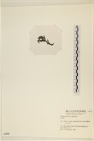 登錄號:A00002440藏品圖，第3張