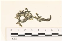 登錄號:A00002440藏品圖，第1張