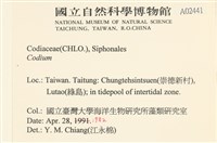 登錄號:A00002441藏品圖，第2張