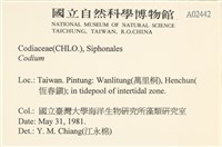 登錄號:A00002442藏品圖，第2張