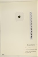 登錄號:A00002442藏品圖，第3張