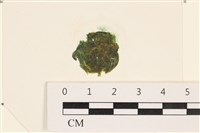 登錄號:A00002442藏品圖，第1張