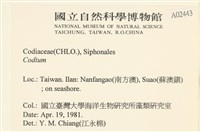 登錄號:A00002443藏品圖，第2張