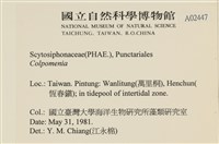 登錄號:A00002447藏品圖，第2張