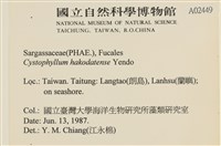館號:A00002449藏品圖，第2張