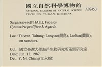 館號:A00002450藏品圖，第2張