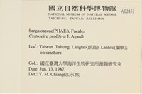 登錄號:A00002451藏品圖，第2張