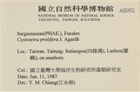 登錄號:A00002452藏品圖，第2張