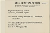 登錄號:A00002453藏品圖，第2張