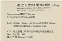 登錄號:A00002454藏品圖，第2張