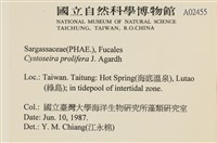 登錄號:A00002455藏品圖，第2張