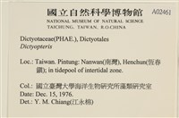 登錄號:A00002461藏品圖，第2張