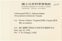 登錄號:A00002462藏品圖，第2張