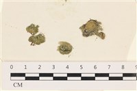 登錄號:A00002462藏品圖，第1張