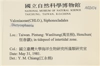 登錄號:A00002474藏品圖，第2張