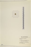 登錄號:A00002474藏品圖，第3張