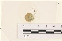 登錄號:A00002474藏品圖，第1張