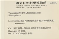 登錄號:A00002476藏品圖，第2張