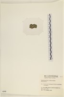 登錄號:A00002476藏品圖，第3張