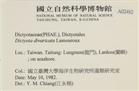 登錄號:A00002482藏品圖，第2張