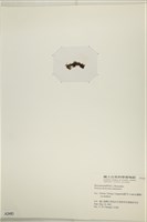 登錄號:A00002483藏品圖，第3張