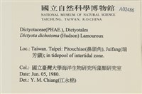 網目藻藏品圖，第2張
