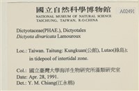 登錄號:A00002491藏品圖，第2張